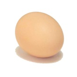 egg