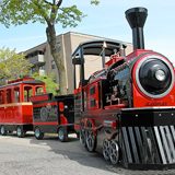 train