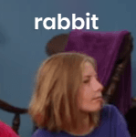 rabbit